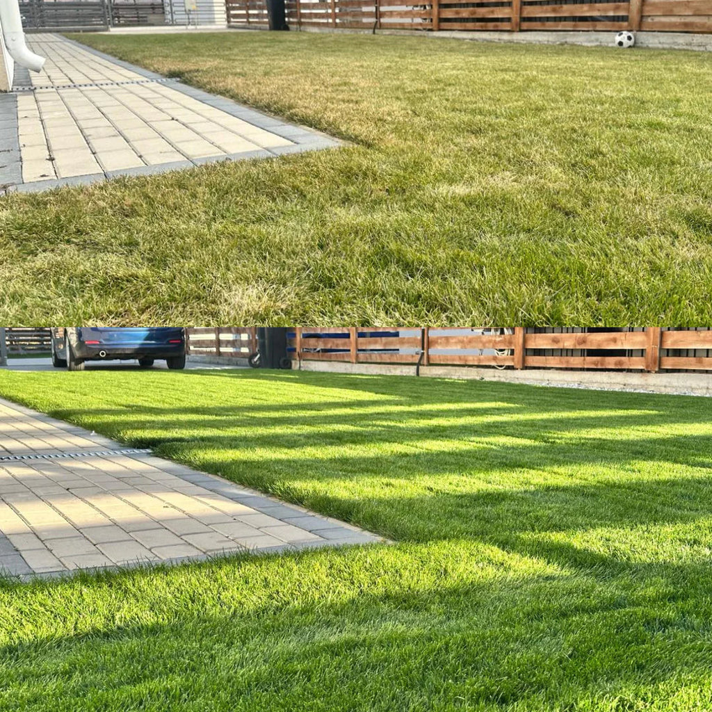 Cum sa fertilizezi corect gazonul primavara — ghid complet pentru incepatori