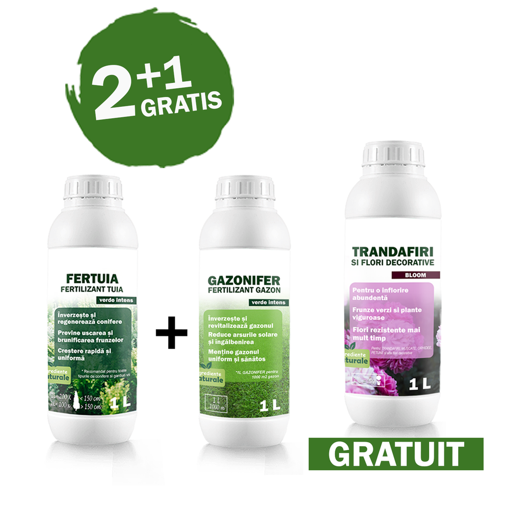 Pachet CURTE VERDE INTENS – Gazon, Conifere și Flori (2+1 GRATIS)