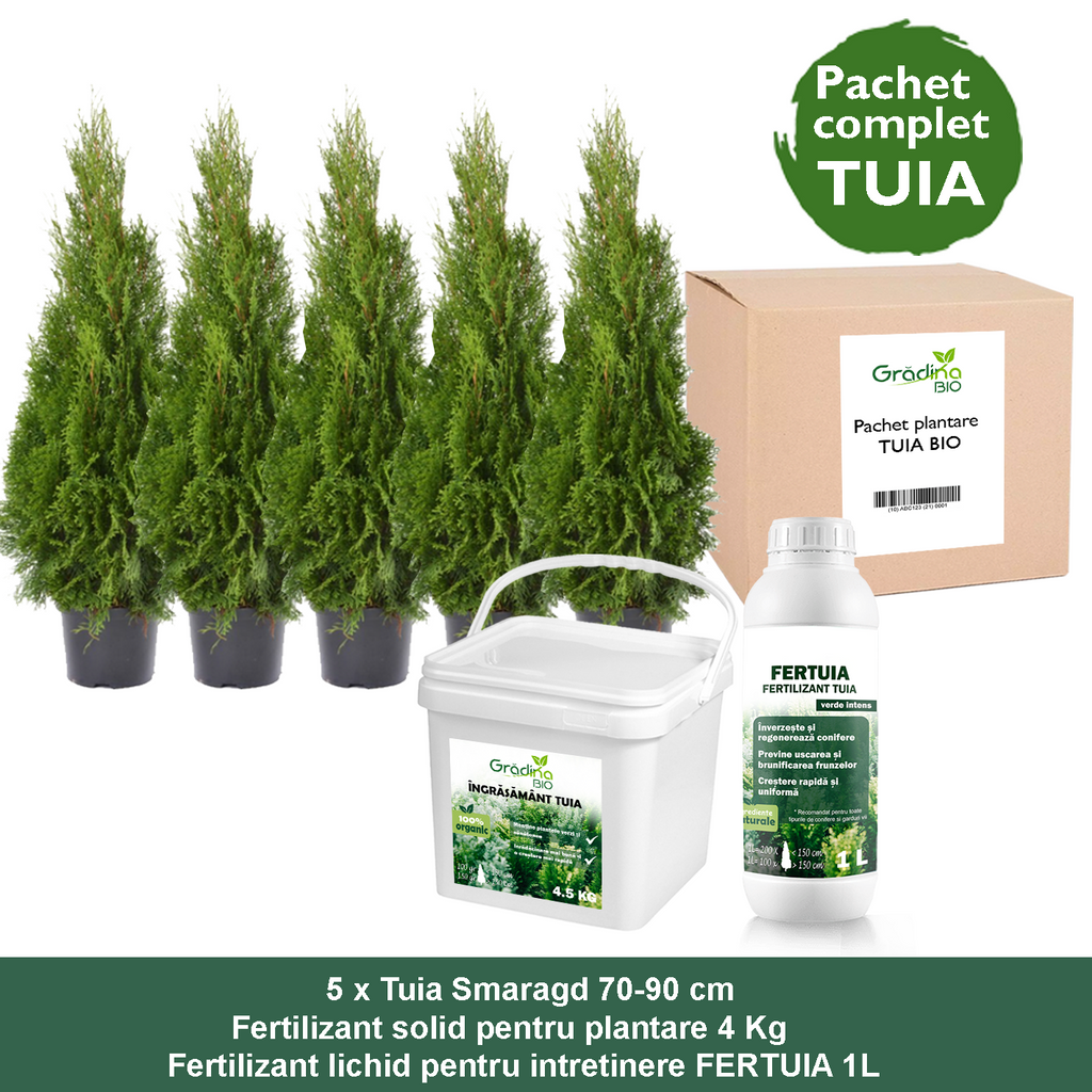 Pachet Complet Tuia Smaragd – Plantare + Întreținere GradinaBIO