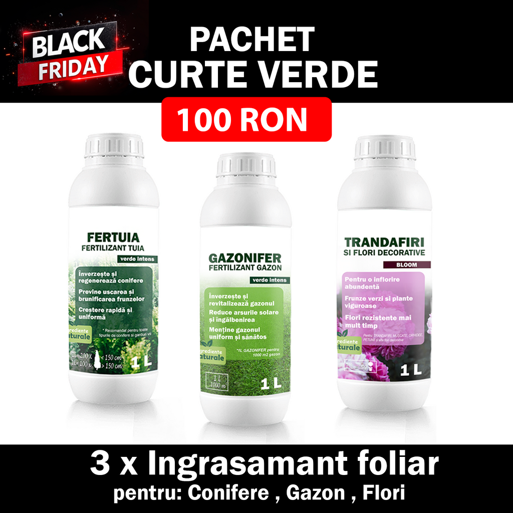 Pachet CURTE VERDE INTENS – Gazon, Conifere și Flori (2+1 GRATIS)