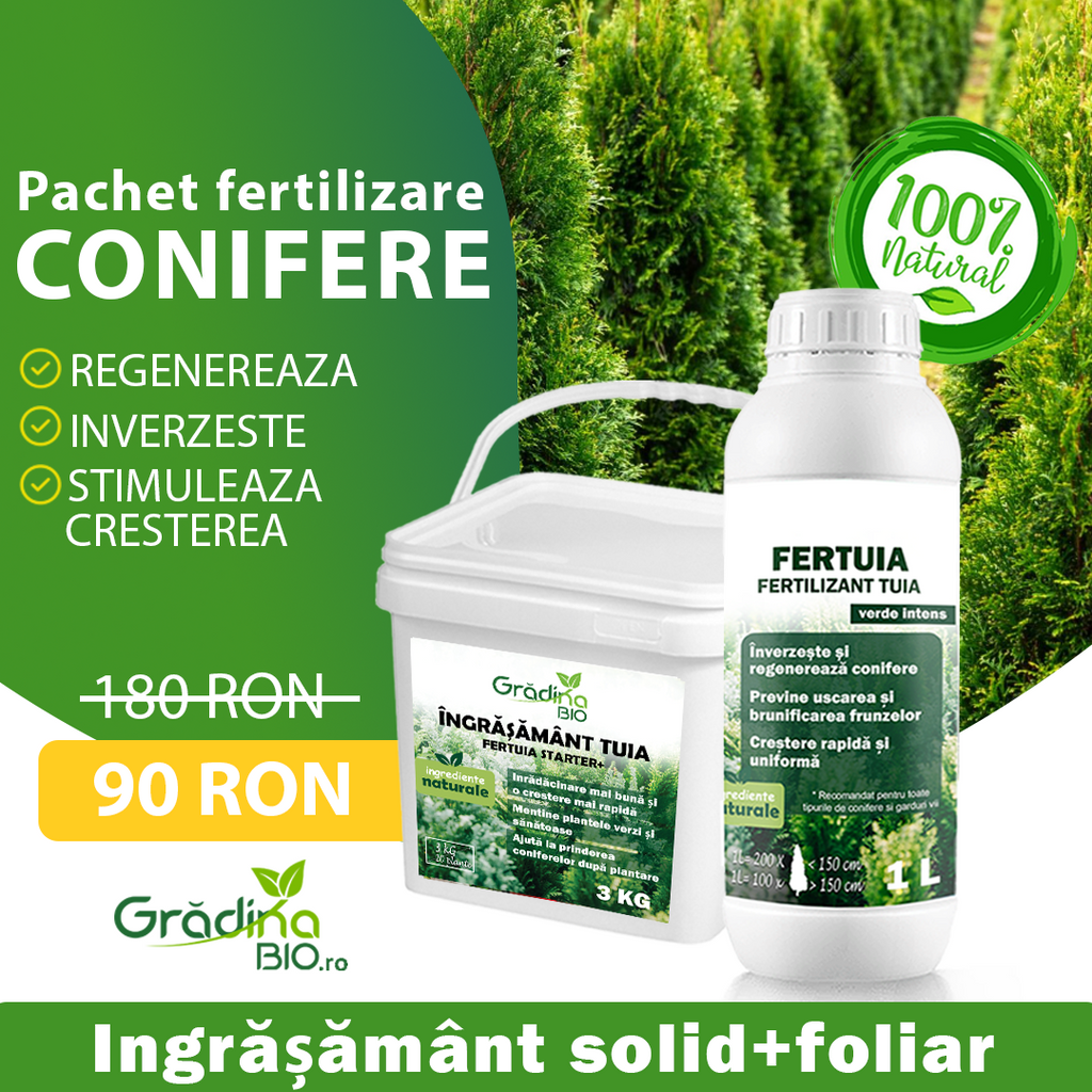 Pachet de Fertilizare Tuia și Conifere – Prindere Sigură & Verde Intens