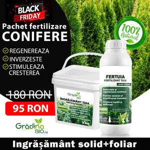 Pachet de Fertilizare Tuia și Conifere – Prindere Sigură & Verde Intens