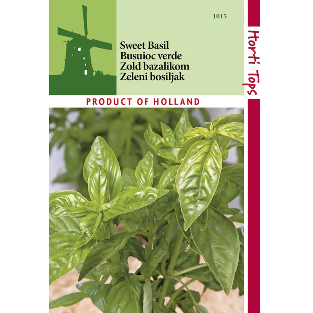 Busuioc verde, Large Leaved, 1 gram, Horti Tops