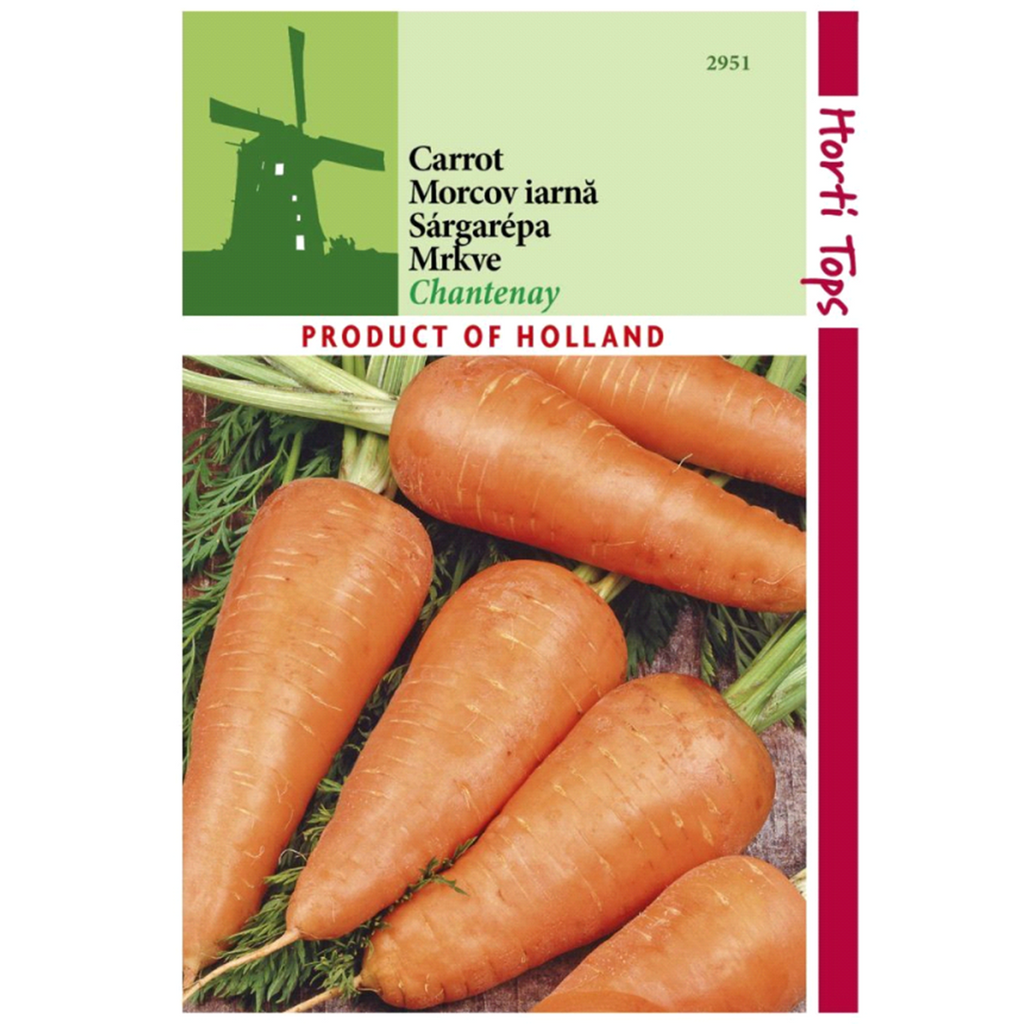 Seminte de morcov Chantenay Red Cored -Horti Tops Olanda 5 gr