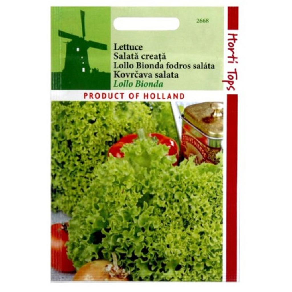 Semințe de Salata Creata Lollo Bionda- Horti Tops Olanda 2 gr