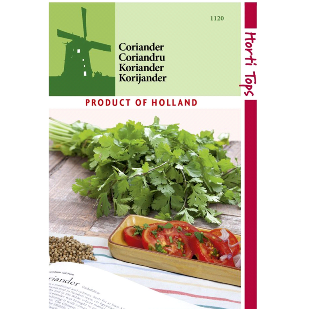 Seminte de coriandru, Horti Tops Olanda 3 gr