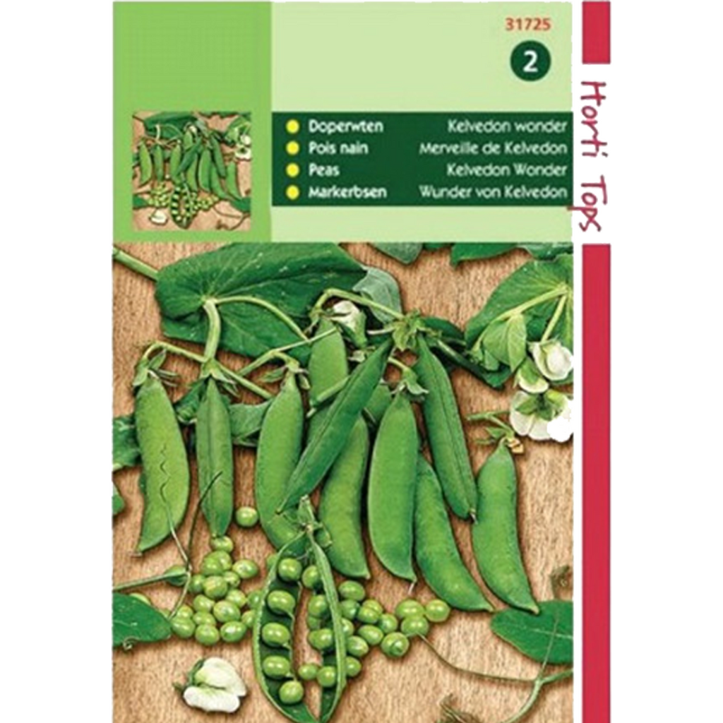 Semințe mazăre Kelvedon Wonder 250gr - Horti Tops Olanda