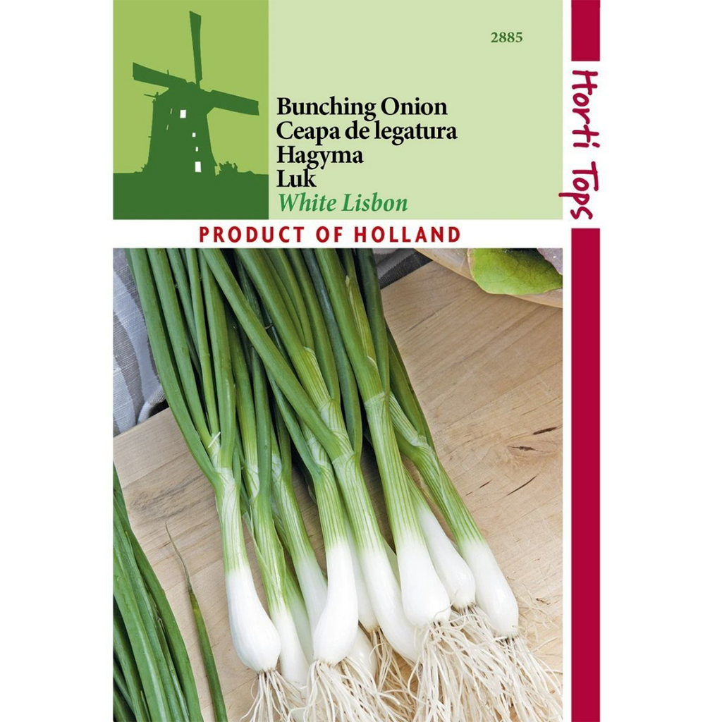 Seminte de ceapa verde White Lisbon- Horti Tops Olanda 3 g