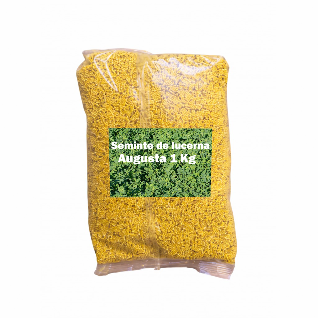 Seminte lucerna Augusta 1 kg