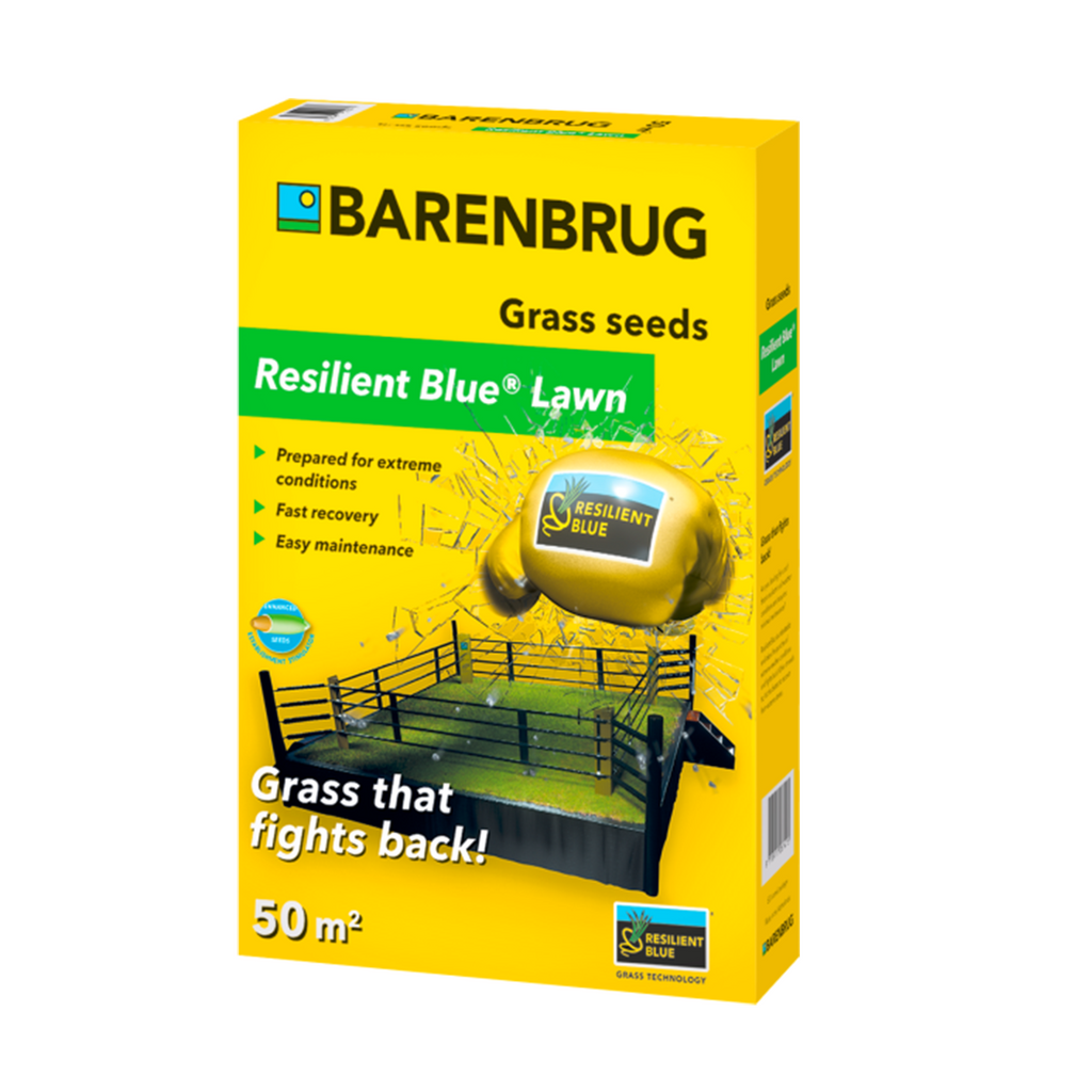 Seminte gazon Barenbrug - Resilient blue 1 kg