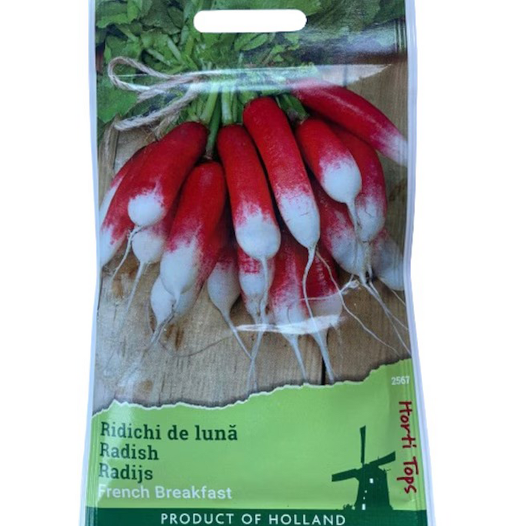 Ridichi de lună, French Breakfast, 10 grame, Horti Tops
