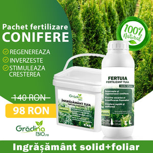 Pachet de Fertilizare Tuia și Conifere – Prindere Sigură & Verde Intens