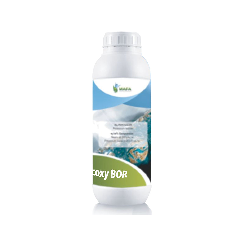 Ecoxy BOR 1 L -  Bor solubil in apa fertilizant lichid