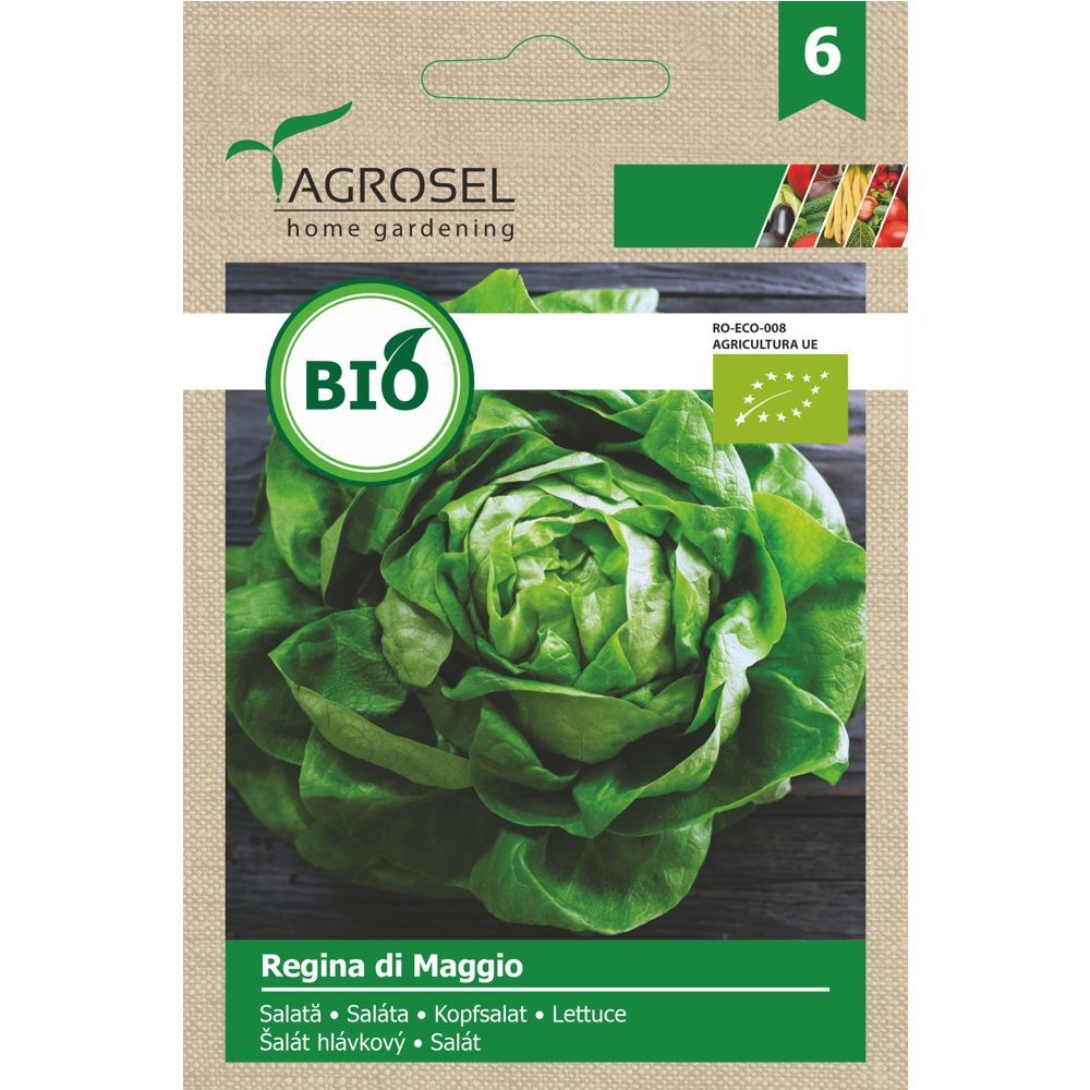 Seminte BIO Salata Regina di Maggio - 3g